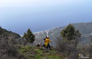 Από την κορυφή Γυμνό στα 750m με θέα το χωριό Ήλια